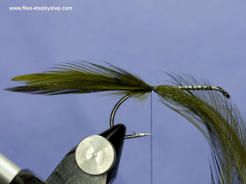 Frog fly pattern How to tie fly, Fly tying Step by Step Patterns